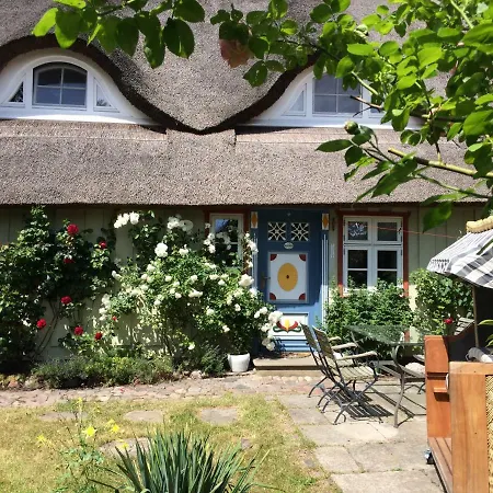 Haus Am Hafen - Luxus Unter Reet, Garten, Strandkorb, Kleine Idylle Nyaraló